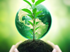 personne-tenant-plante-qui-se-trouve-au-sommet-planete